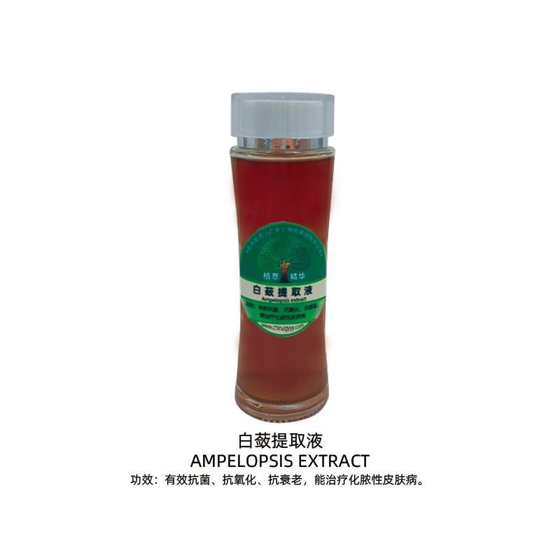 白蔹提取液